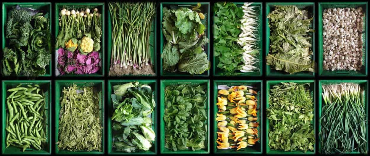 Légumes de la ferme du Bec Hellouin